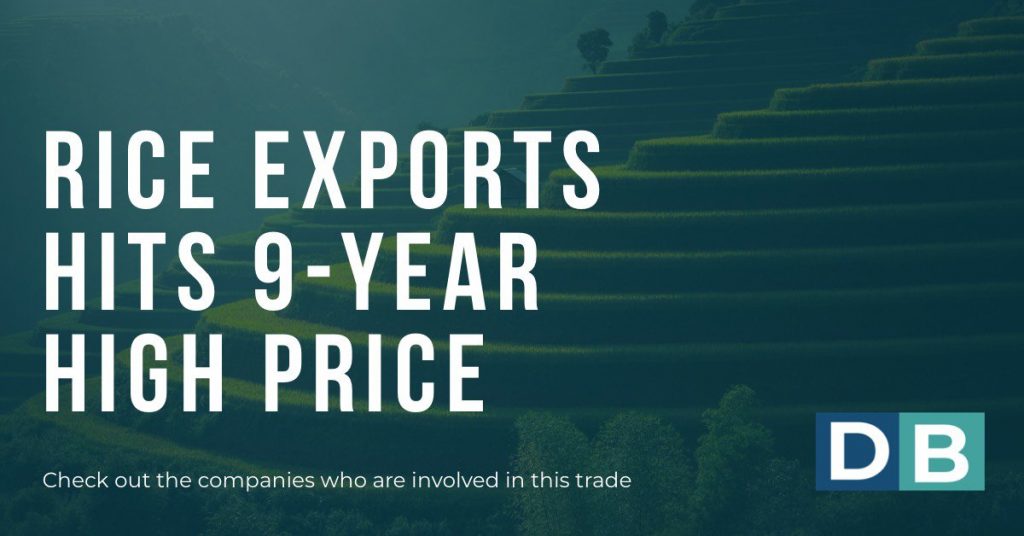 Rice export price hits 9-year high Price