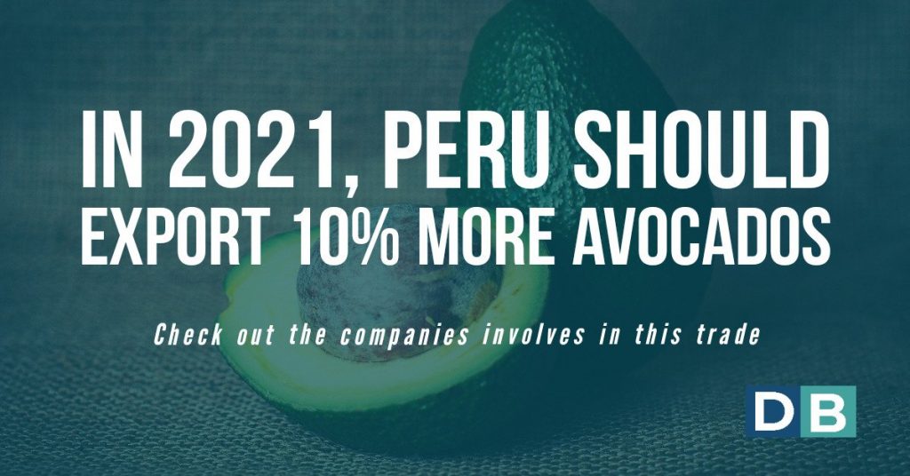 In 2021, Peru should export 10% more avocados