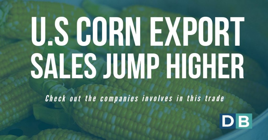 U.S. Corn Export Sales Jump Higher